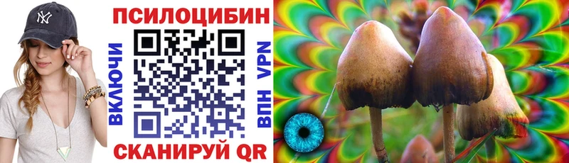 Галлюциногенные грибы Cubensis  Тайга 
